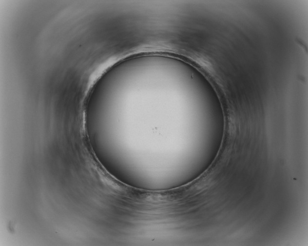 X0000103281366200809121936