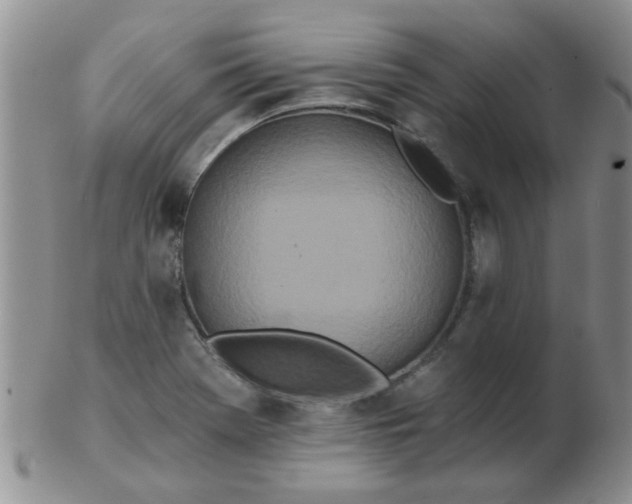 X0000103281369200809121936