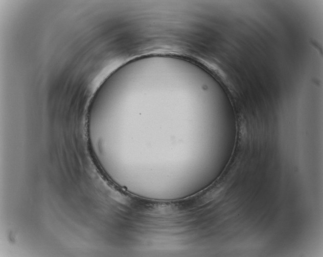 X0000103281375200809121936