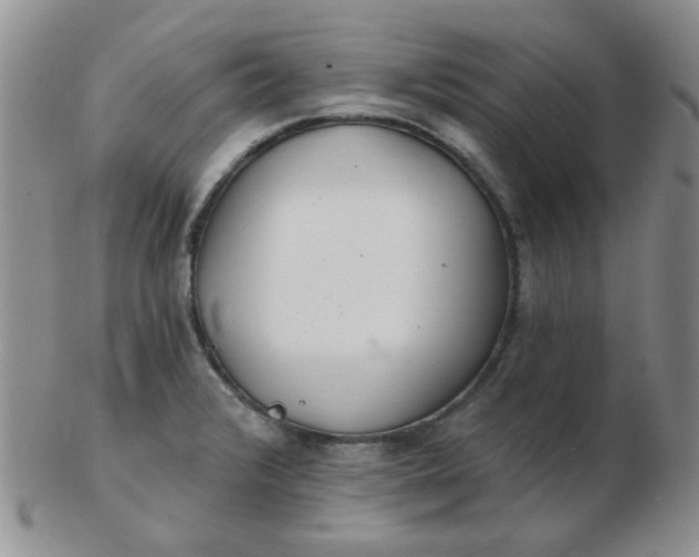 X0000103281376200809121936