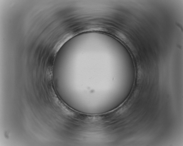 X0000103281377200809121936