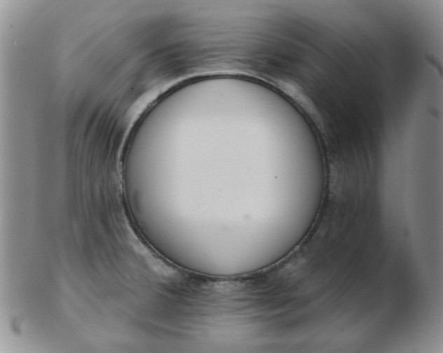 X0000103281380200809121936