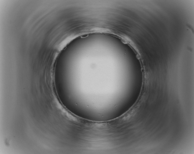 X0000103281381200809121936