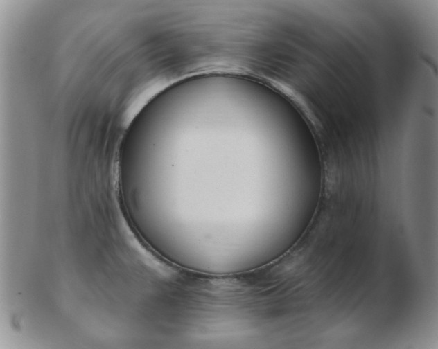 X0000103281383200809121936