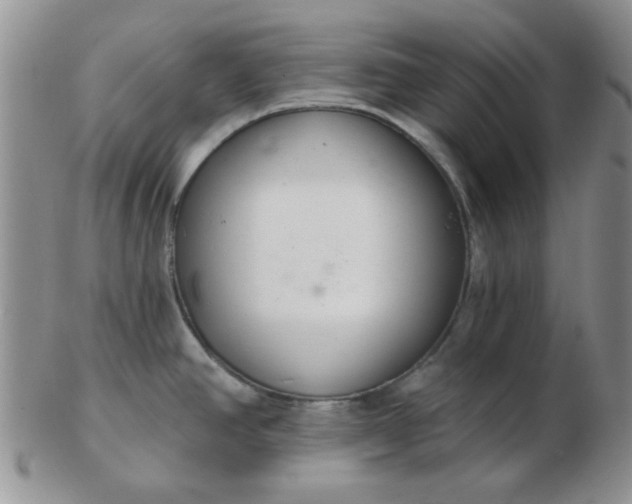 X0000103281390200809121935