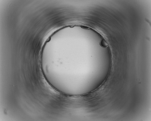 X0000103281392200809121935