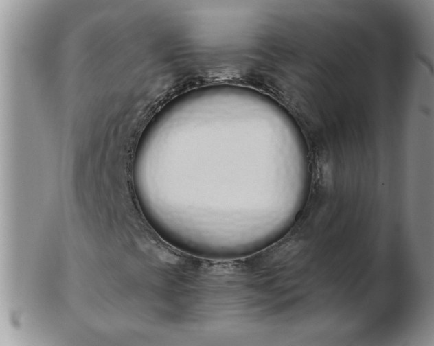 X0000103281393200809121935