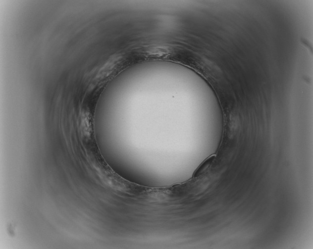 X0000103281394200809121935