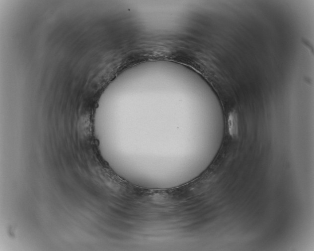 X0000103281395200809121935