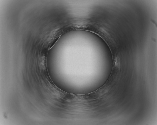 X0000103281396200809121935