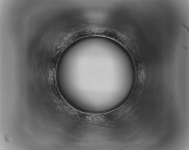 X0000103281397200809121935