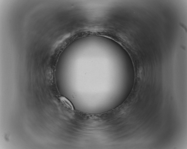 X0000103281398200809121935