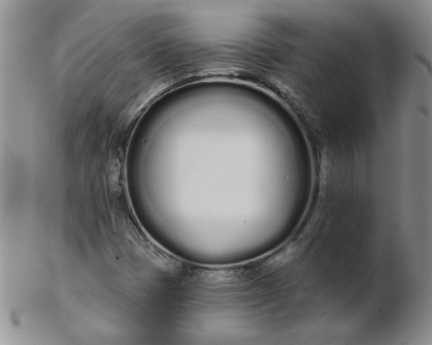 X0000103281401200809121935