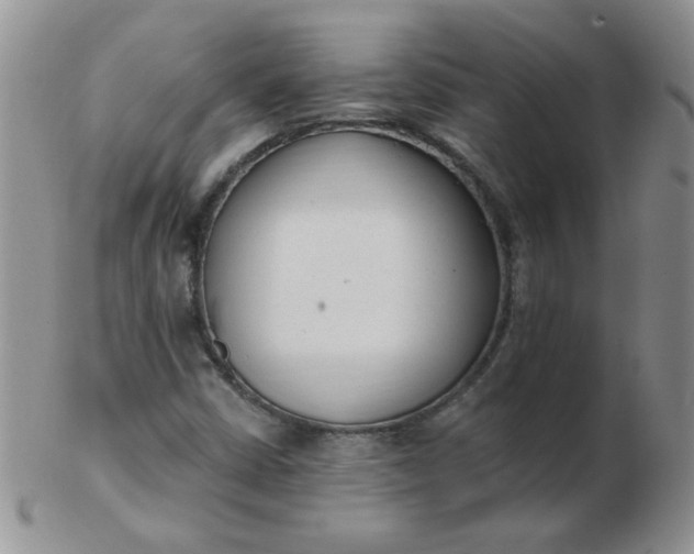 X0000103281402200809121935