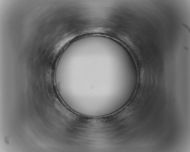 X0000103281404200809121935