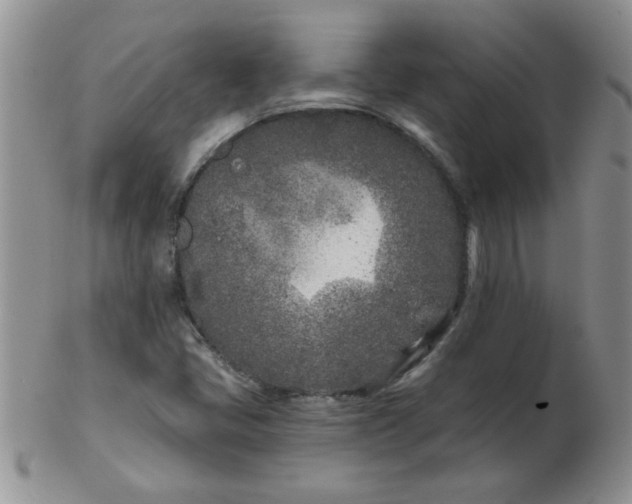 X0000103281405200809121935