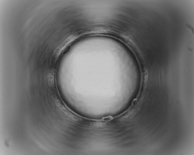 X0000103281409200809121935