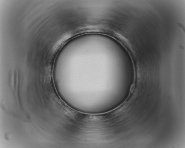 X0000103281411200809121935