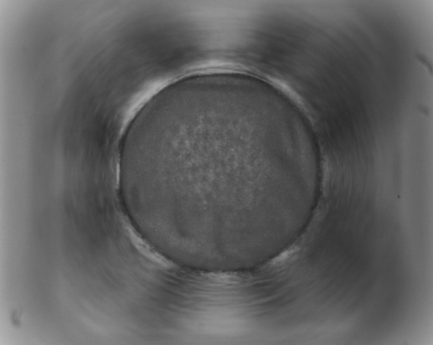 X0000103281413200809121935