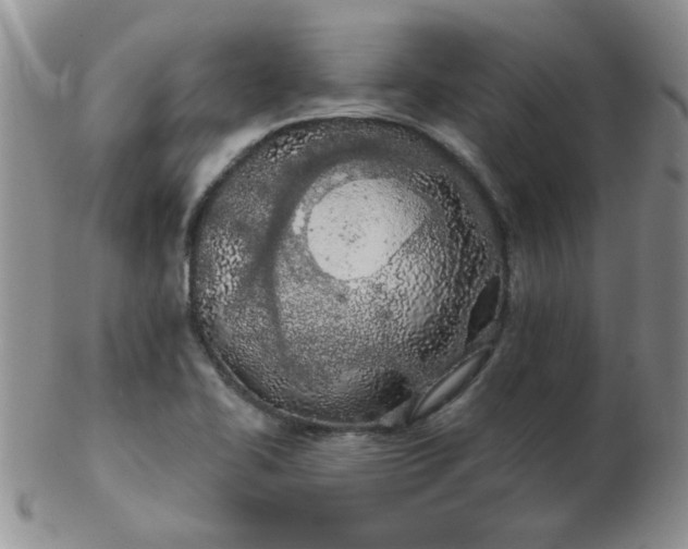 X0000103281414200809121935