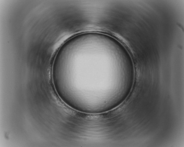 X0000103281415200809121935