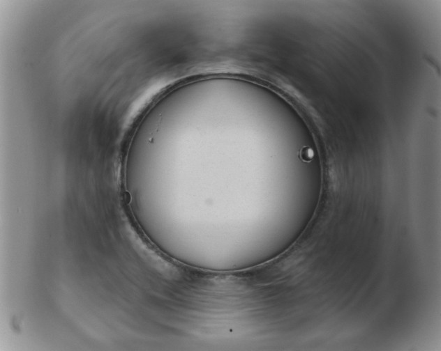 X0000103281416200809121935