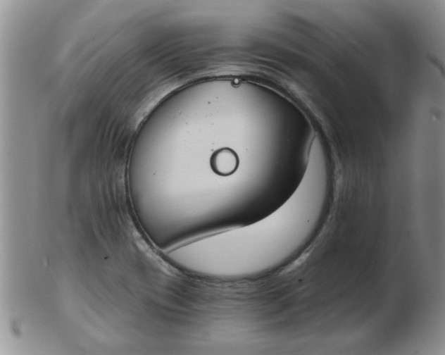 X0000103281417200809121935