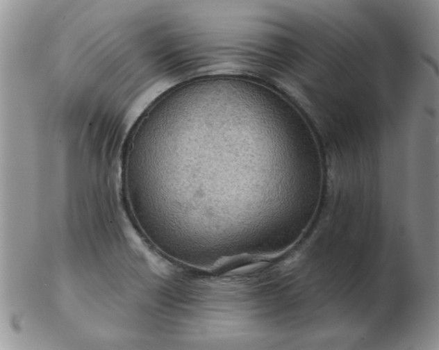 X0000103281418200809121935