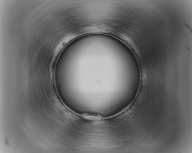 X0000103281419200809121935