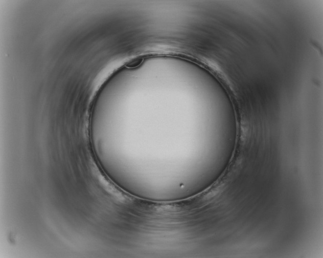 X0000103281421200809121935