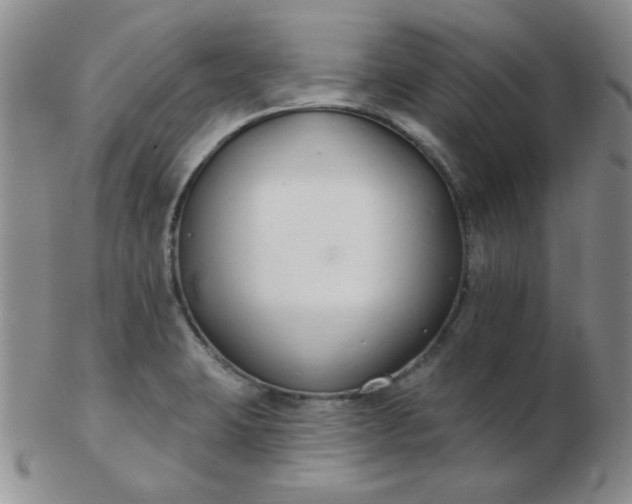 X0000103281423200809121935