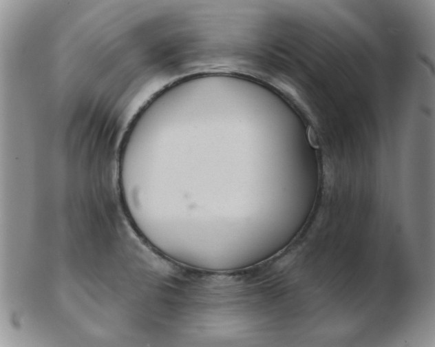 X0000103281424200809121935