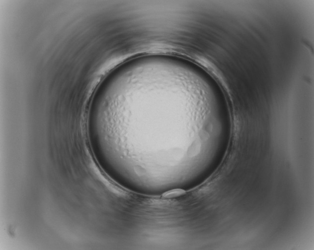 X0000103281429200809121935