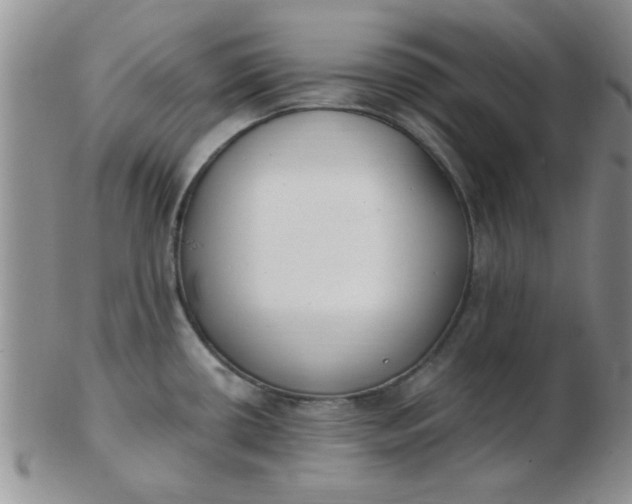 X0000103281434200809121935