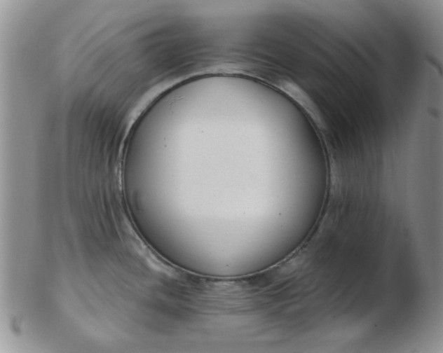 X0000103281436200809121935