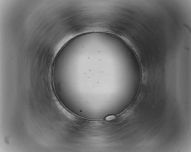 X0000103281438200809121935