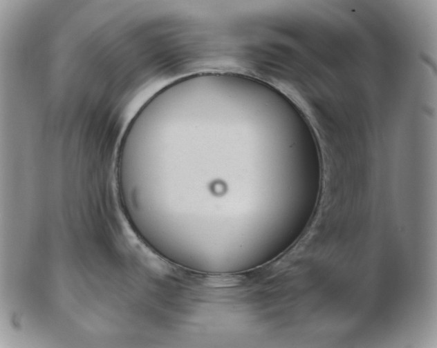 X0000103281440200809121935