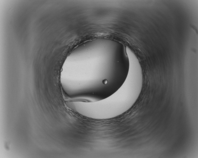 X0000103281441200809121935