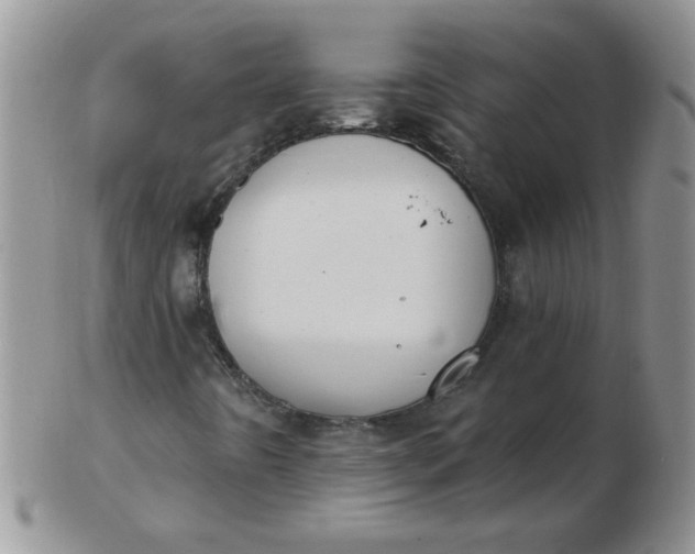 X0000103281442200809121935