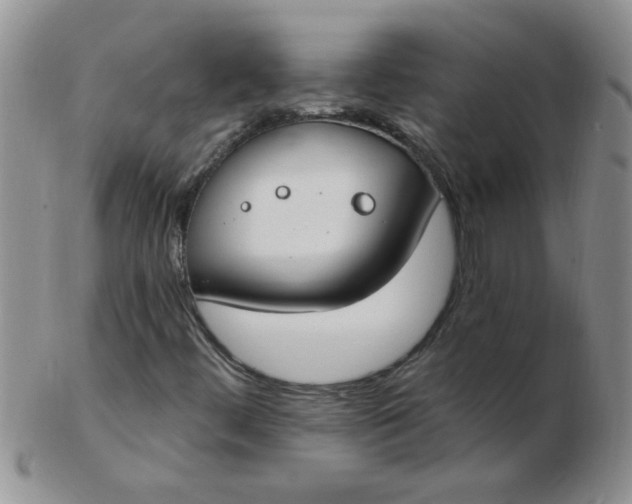 X0000103281444200809121935