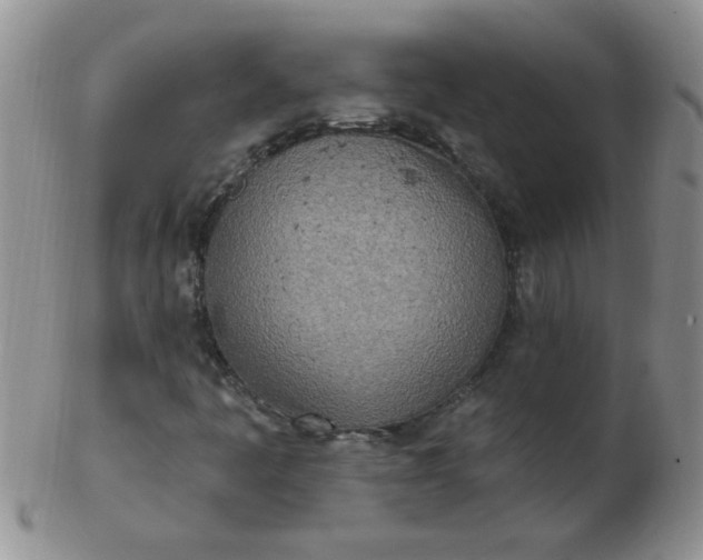 X0000103281445200809121935