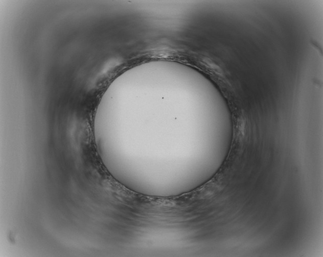 X0000103281446200809121935