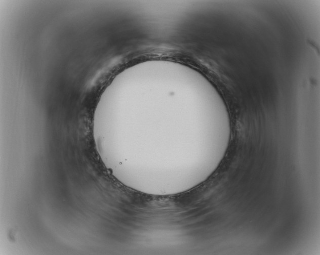 X0000103281447200809121935