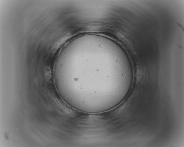 X0000103281449200809121935