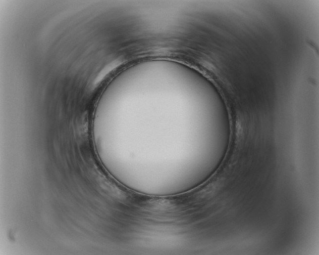 X0000103281450200809121935