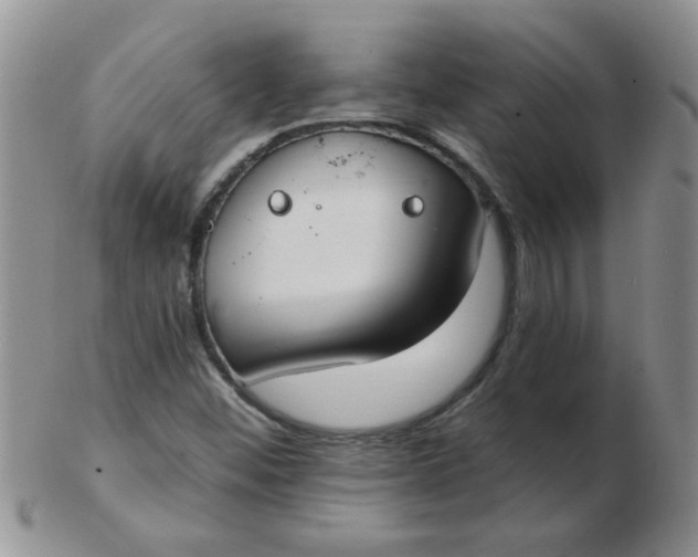 X0000103281452200809121935