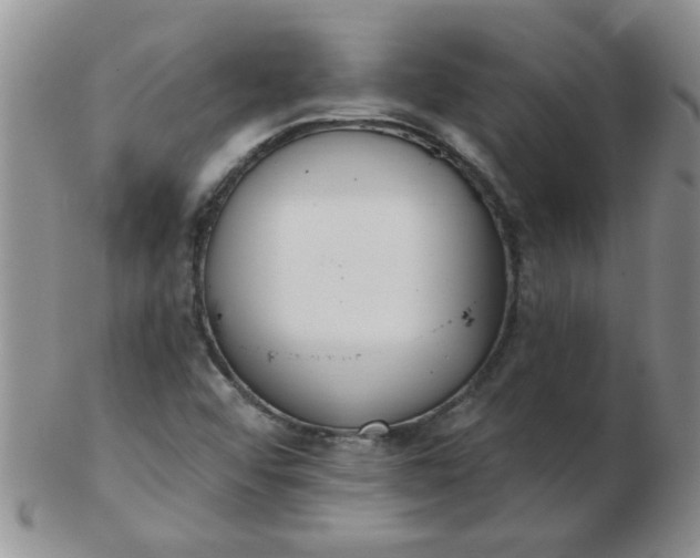 X0000103281456200809121935