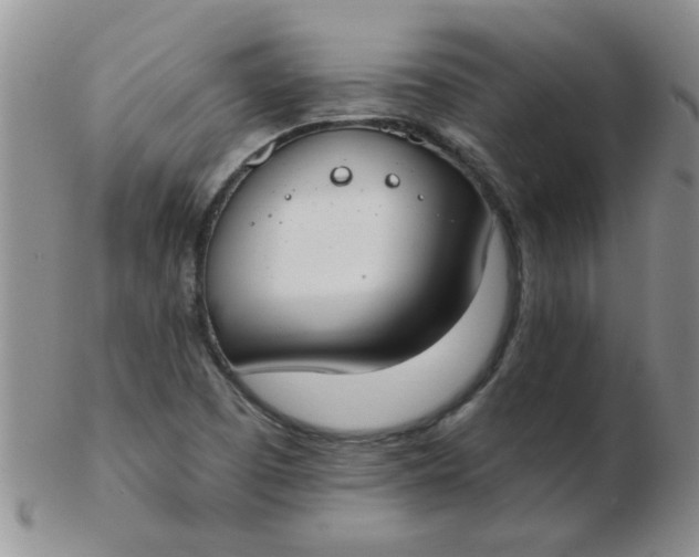 X0000103281457200809121935