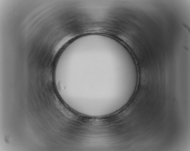 X0000103281458200809121935