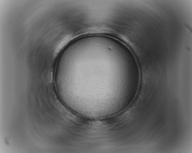 X0000103281459200809121935